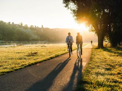 Der Elberadweg bei Dresden