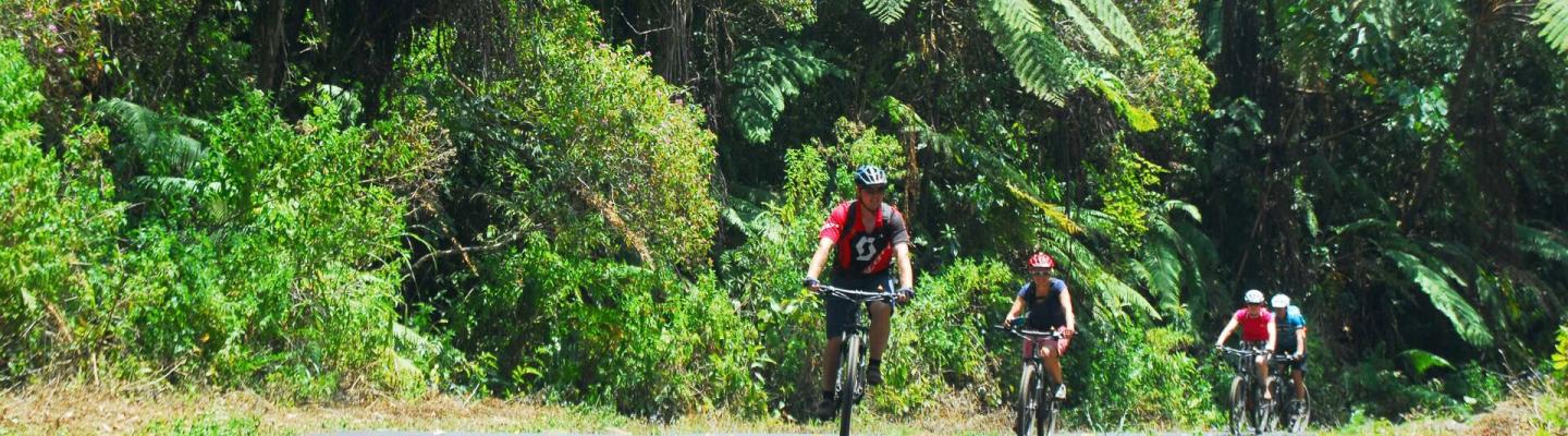 Radfahren whrend der Abfahrt durch den Regenwald von Bali