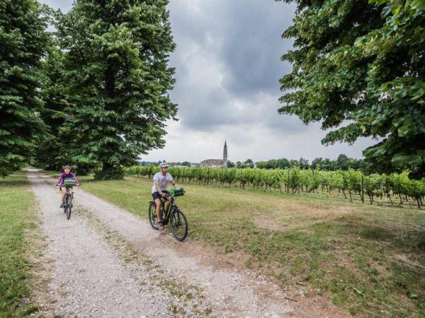 Radfahrer zwischen Weinreben