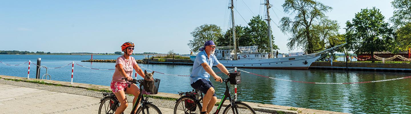 Radler am Hafen