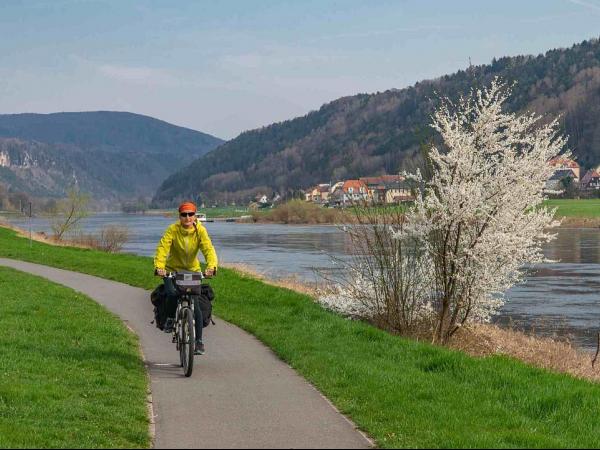 Der Elberadweg bei Bad Schandau