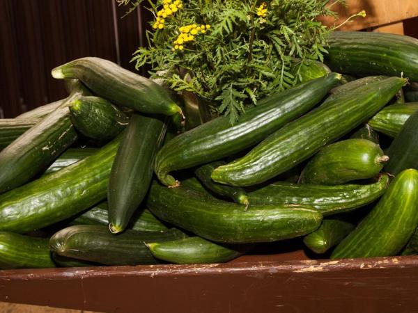 Spreewaldgurken - cucumbers of the Spreewald