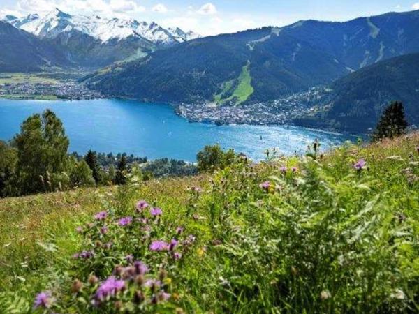 Blick auf Zell am See