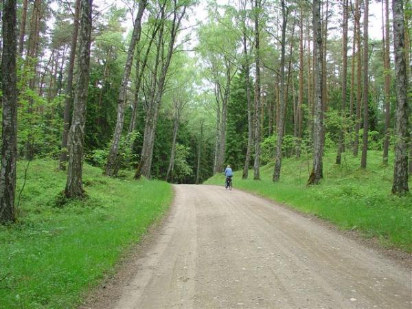 Radler am Waldweg 