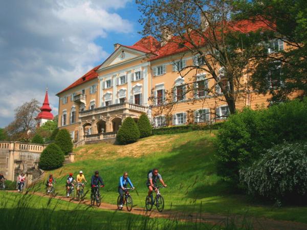 Radfahrergruppe in Halbenrain