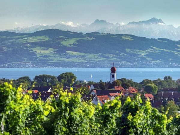 Kressbronn am Bodensee - Alpenblick