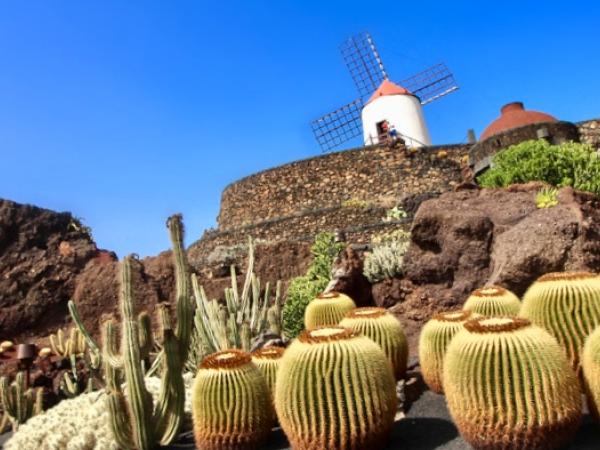 Kaktusgarten auf Lanzarote