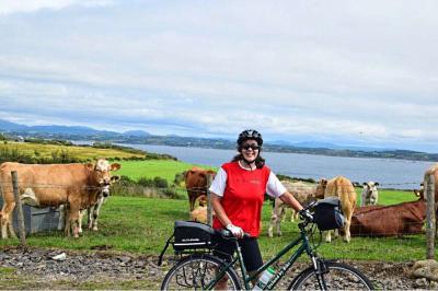 Radfahrer und Khe - Schtze Irlands