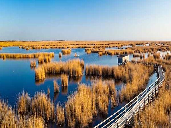 Nationalpark Neusiedlersee Seewinkel