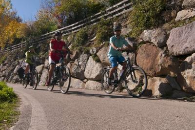 Radweg Vinschgau