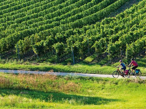 Radfahre am Kirschbltenradweg