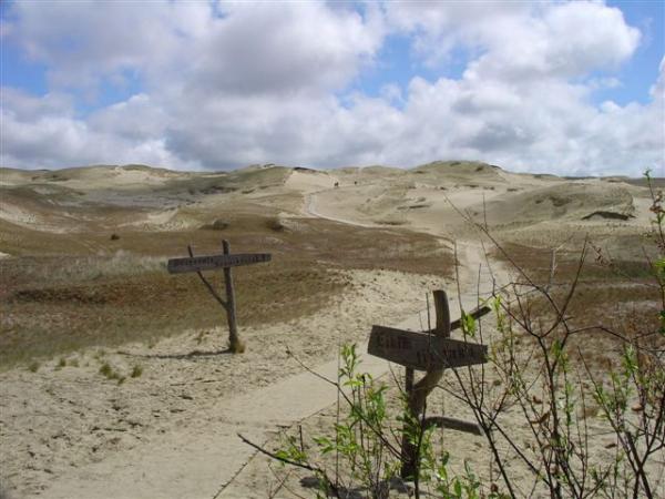 Kurischen Nehrung - Sanddnen